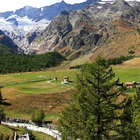 Amber Ski-in/out & 호텔