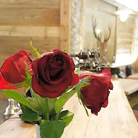 Amber Ski-in/out Hotel&spa