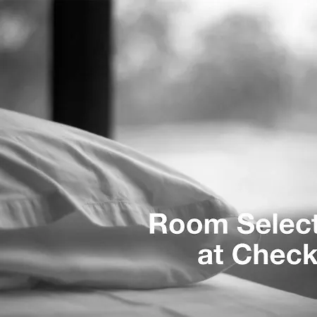 Amber Ski-in/out & 3*