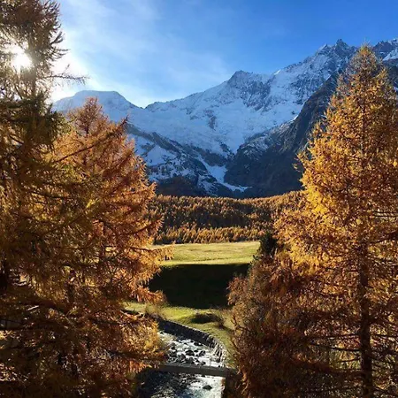 Amber Ski-in/out & فندق Saas Fee